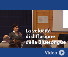 Giornata di studio sulla Bluetongue