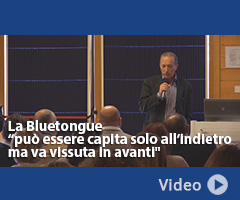 Giornata di studio sulla Bluetongue