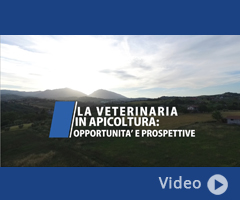 La veterinaria in apicoltura: opportunità e prospettive