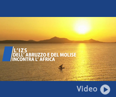 L'IZS dell'Abruzzo e del Molise incontra l'Africa