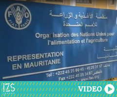 Malattie tropicali, lo Zooprofilattico in Mauritania - Rai News
