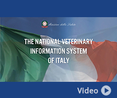 The National Veterinary Information System of Italy