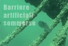 Barriere artificiali sommerse (2006 - 2009)