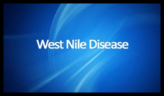 West Nile Disease (WND)
